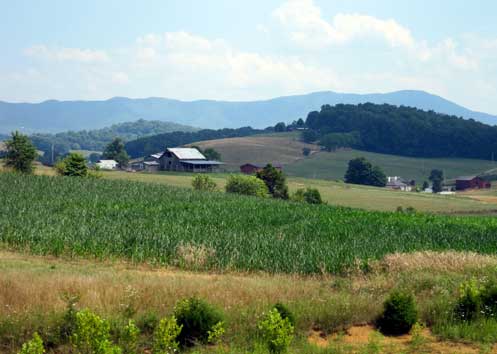 Figure 5. Corn, alfalfa, and soybeans have replaced tobacco after the conclusion of federal price supports. Some farmers, like this operator in Greene County, have increased their non-farm employment and only harvest hay several times per year. Photo by author, 2010.