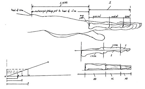 lawtonfig05.jpg