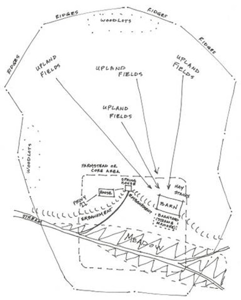 necciai07.jpg